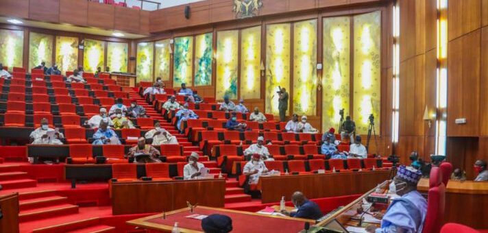 Senate moves to establish national autism centers across Nigeria