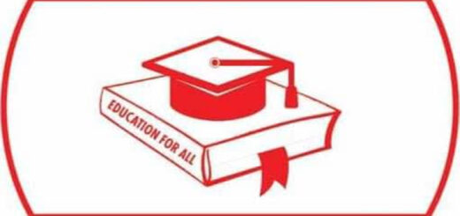 Disregard purported notice of congress – NNPP tells INEC