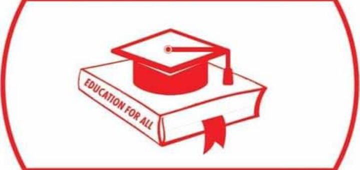 Disregard purported notice of congress – NNPP tells INEC