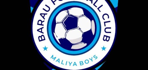 NPFL: Barau FC blame loss of concentration for defeat to Remo Stars